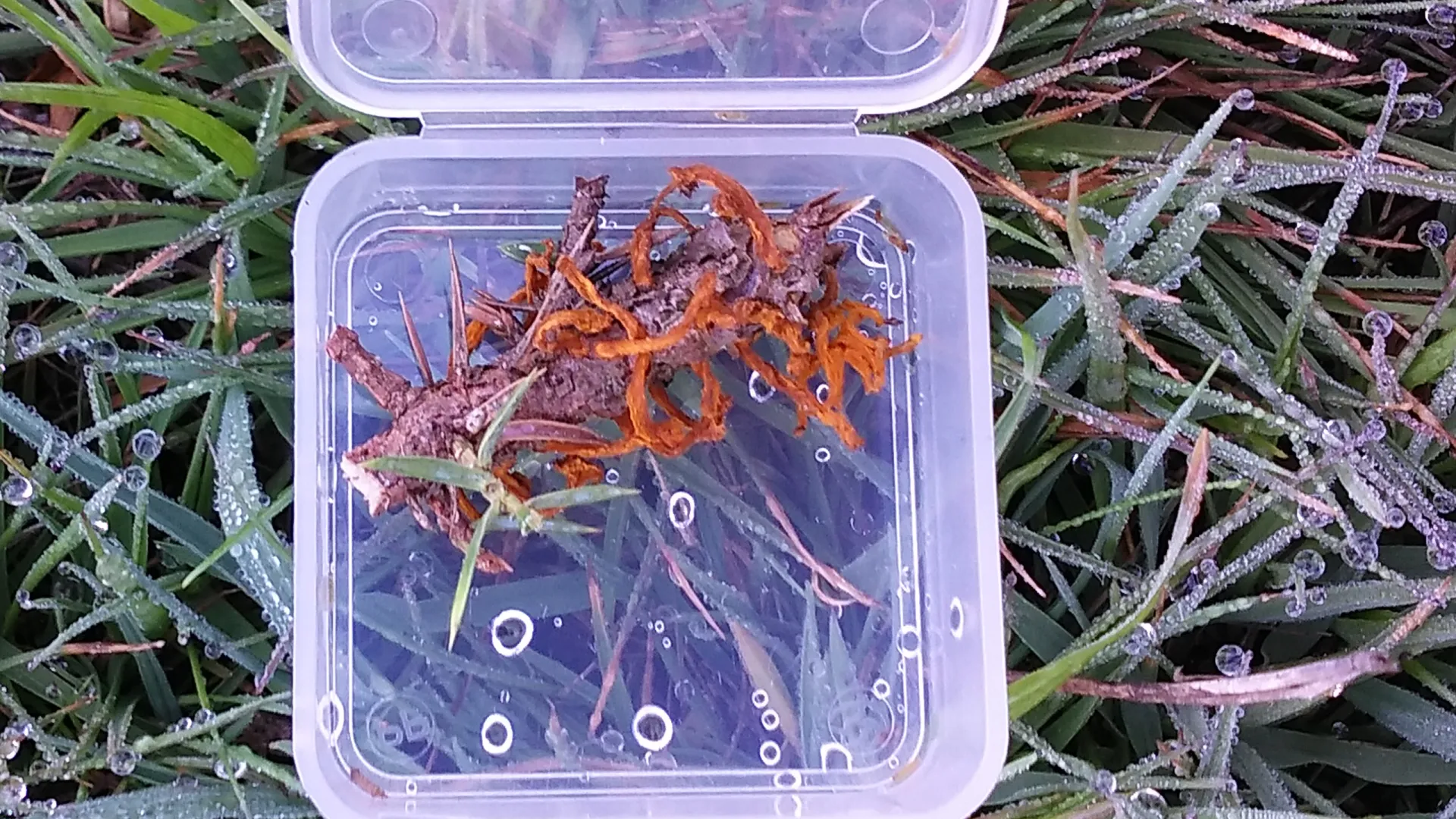 1 -